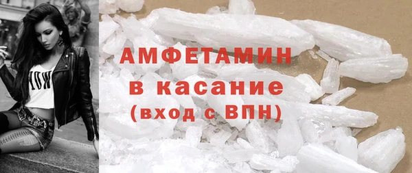 гидра Вяземский