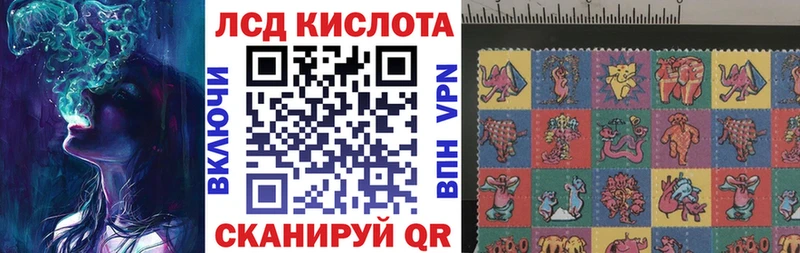 Марки 25I-NBOMe 1,5мг сколько стоит mega ТОР Магас